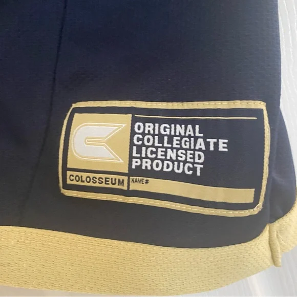 Notre Dame Colosseum Gold Youth Jersey - Picture 5 of 5